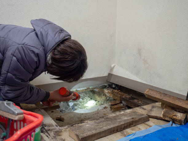 Best Mold-Related Health Consultation  in Julesburg, CO