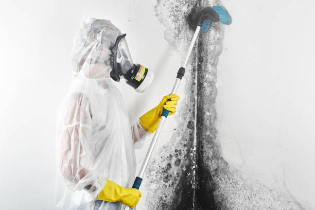 Best HVAC Mold Inspection and Cleaning  in Julesburg, CO