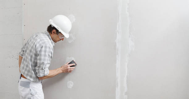 Best Mold Remediation for Vacation Homes  in Julesburg, CO