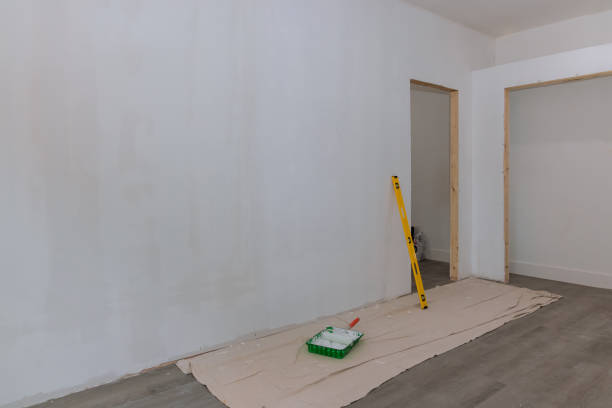 Best Mold Damage Restoration  in Julesburg, CO
