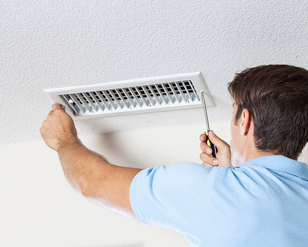 Best Mold Odor Removal Services  in Julesburg, CO