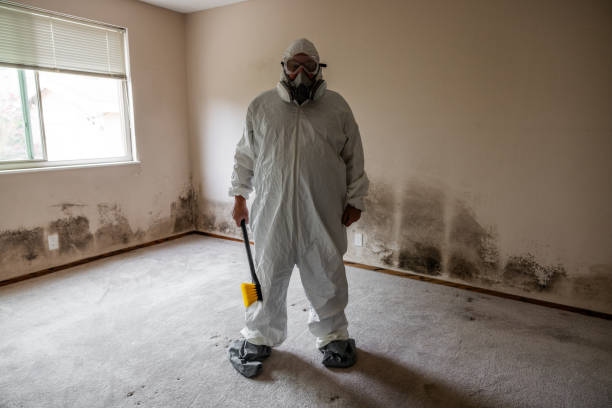 Best Asbestos and Lead Testing During Mold Inspection  in Julesburg, CO