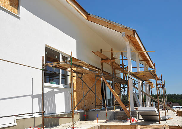 Mold Odor Removal Services in Julesburg, CO