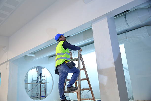 Best Forensic Mold Investigation  in Julesburg, CO