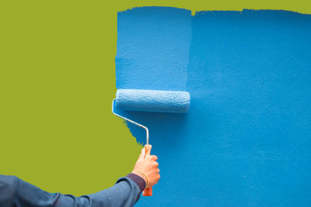 Best Basement Mold Removal  in Julesburg, CO